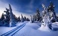 снег, природа, закат, зима, пейзаж, следы, сугробы, колея, заснеженные деревья