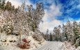 небо, дорога, снег, природа, лес, зима, пейзаж, заснеженные деревья