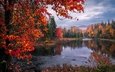 деревья, река, природа, лес, пейзаж, осень, осенние краски квебека