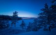 деревья, снег, природа, лес, закат, зима, пейзаж, сугробы, холодно, финляндия, замерзшее озеро, синий час, teijo
