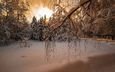 снег, природа, лес, закат, зима, пейзаж, поляна, зарево, заснеженные деревья