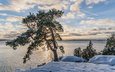 небо, озеро, снег, дерево, зима, пейзаж, финляндия