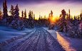 дорога, деревья, лес, закат, зима, пейзаж, норвегия, деревь, ландшафт, автодорога