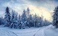 небо, дорога, снег, лес, зима, пейзаж, панорама, финляндия, заснеженные деревья
