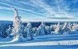 горы, снег, природа, зима, пейзаж, вид, чешская республика, красивое небо, заснеженные деревья, пеший туризм в горах, есеники