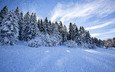 снег, природа, зима, пейзаж, сугробы, заснеженные деревья