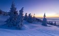 снег, природа, закат, зима, пейзаж, румыния, заснеженные деревья, rogojel