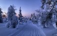 дорога, деревья, снег, природа, закат, зима, пейзаж, ruka, финляндия, лапландия, kuusamo