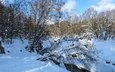 деревья, снег, природа, лес, зима, пейзаж, ручей, речка, длинный и узкий приток к москве-реке