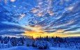 облака, деревья, снег, природа, закат, зима, пейзаж, красивое небо