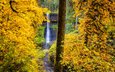 деревья, природа, пейзаж, водопад, осень, осенние листья, lower south falls