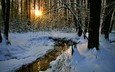 деревья, снег, природа, лес, закат, зима, пейзаж, ручей