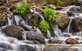 природа, камни, ручей, водопад, поток, речка, течение, colorado rockies
