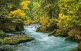 деревья, река, скалы, природа, лес, пейзаж, осень, орегон, краски осени, willamette national forest, cascade mountains