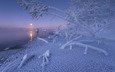 деревья, река, снег, зима, утро, рассвет, россия, московская область, река дубна