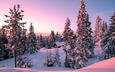 деревья, снег, лес, закат, зима, пейзаж, домик, норвегия