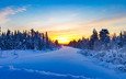 деревья, снег, природа, закат, зима, пейзаж, финляндия