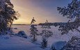 деревья, снег, закат, зима, пейзаж, финляндия, замерзшее озеро
