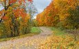 дорога, деревья, природа, лес, пейзаж, осень, краски осени