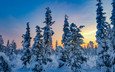 снег, закат, зима, пейзаж, финляндия, заснеженные деревья
