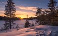 деревья, снег, природа, лес, закат, зима, пейзаж, сугробы, норвегия