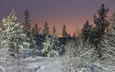 ночь, снег, природа, зима, пейзаж, лунный свет, заснеженные деревья