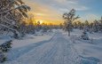 дорога, деревья, снег, природа, лес, закат, зима, пейзаж, winter sunrice, naglestadheia in norway