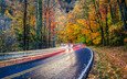 дорога, деревья, лес, пейзаж, осень, осенние краски, great smoky mountain national park