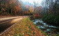 дорога, деревья, река, камни, лес, пейзаж, осень, осенние краски, great smoky mountain national park