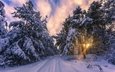 дорога, деревья, снег, лес, закат, зима, пейзаж