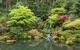 деревья, пейзаж, парк, водопад, водоем, японский сад в портленде