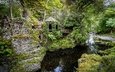 северная ирландия, лесной парк толлимор