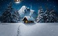 ночь, деревья, снег, зима, пейзаж, гора, луна, следы, домик, лунный свет, упряжка коней с дедом морозом