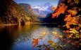 озеро, горы, листья, ветки, осень, австрия, альпы, gosauseen, верхняя австрия, lake gosau, озеро гозау
