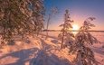 снег, природа, закат, зима, пейзаж, следы, сугробы, замерзшее озеро, заснеженные деревья