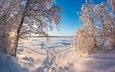 снег, природа, зима, пейзаж, следы, сугробы, замерзшее озеро, заснеженные деревья