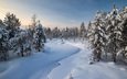 снег, природа, лес, закат, зима, пейзаж, заснеженные деревья, замороженный ручей