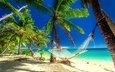 пейзаж, песок, пляж, пальмы, отдых, остров, гамак, тропики, relaxing in paradise