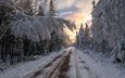 дорога, деревья, лес, закат, зима, пейзаж, канада, заснеженные деревья, первый снегопад