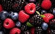 малина, еда, витамины, ягоды, черника, ежевика, ягодный фон