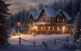 ночь, огни, снег, новый год, зима, мороз, дом, рождество