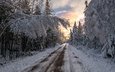 дорога, снег, лес, закат, зима, пейзаж, заснеженные деревья