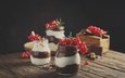 белый • ягоды • шоколад • баночки • крем • десерт • смородина • молочный • oxana denezhkina
