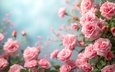 цветы • праздник • розы • розовые • цветочная композиция • ии-арт • универсальный праздничный фон • нейросеть