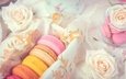 цветы • розы • десерт • pink • flowers • пирожные • сладкое • sweet • dessert • roses • macaroon • french • macaron • макаруны