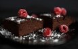 ягоды • малина • темный фон • стол • тарелка • пирог • торт • кусочки • пирожное • шоколадный • боке • сахарная пудра • чизкейк