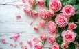 цветы • розы • розовые • цветочная композиция • ии-арт • нейросеть