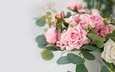 цветы • коробка • розы • букет • розовые • красивые
