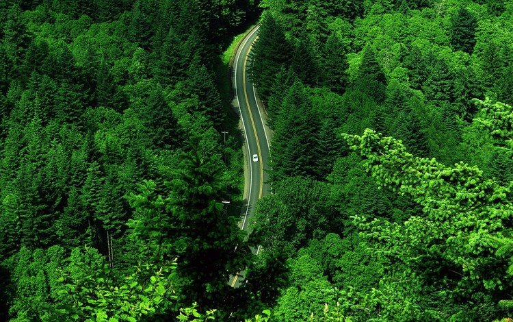дорога, зелень, лес, пейзаж, машина, вид сверху, road, greens, forest, landscape, machine, the view from the top