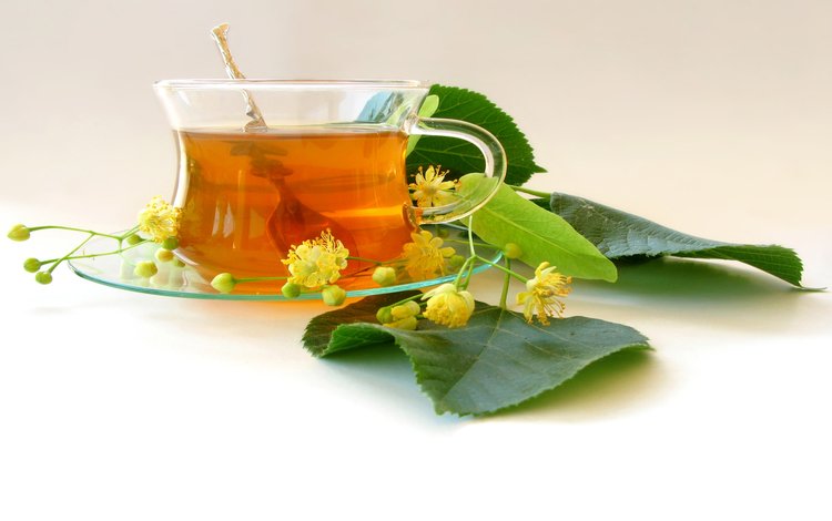 чай, соцветия, листики, tea, inflorescence, leaves
